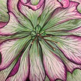 Painting of a purple, wrote, green hellebore close-up
