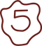 5.png