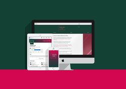 Pauline Yapi I Ardenter Law