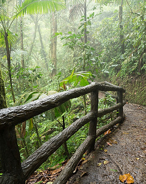 Costa Rica Hike