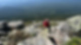 IMG_2161.jpeg