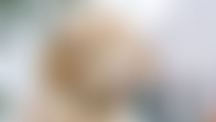 Where Can I Buy a Goldendoodle? Tips for Finding the Best Mini Goldendoodle Puppy