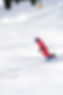_DSC7951_edited_edited.jpg