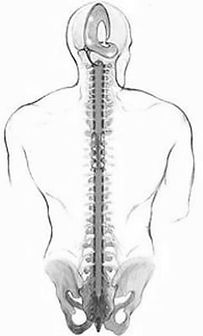 osteopathie crânienne osteopathe peyrins romans-sur-isere