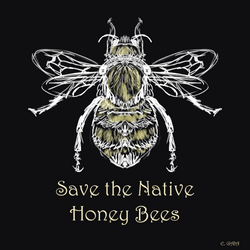 Save the Honey Bees v2