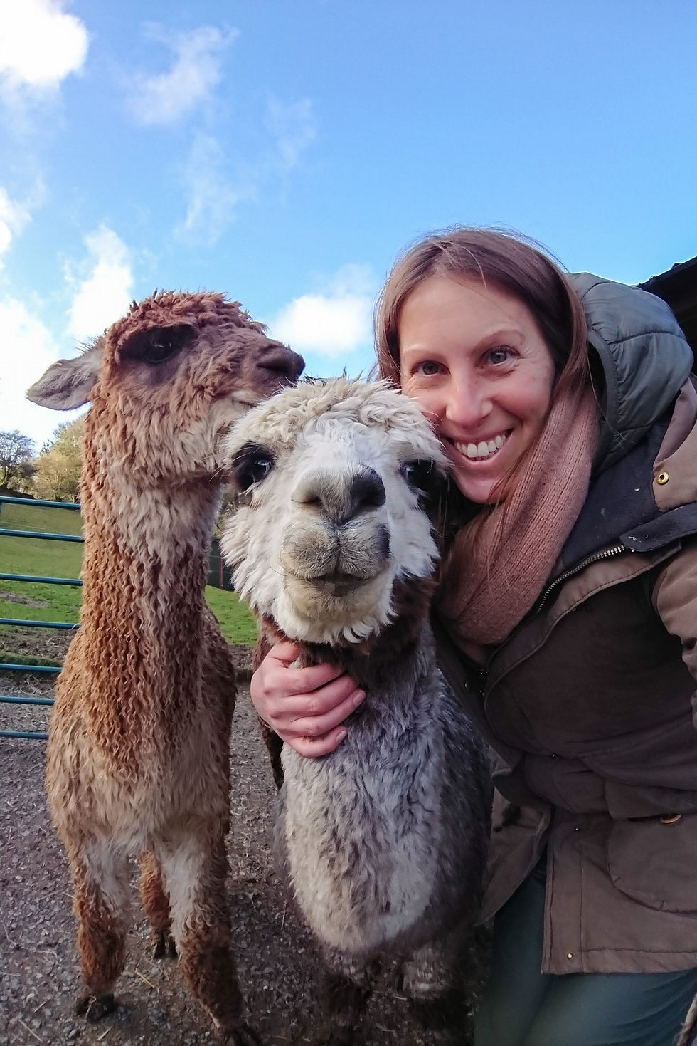 Selfie practice with alpacas Jo and Barney