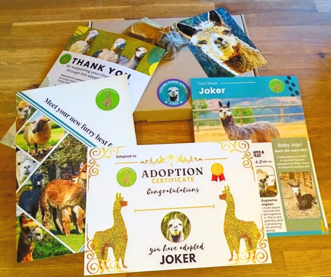 The Virtual Package animal adoption pack