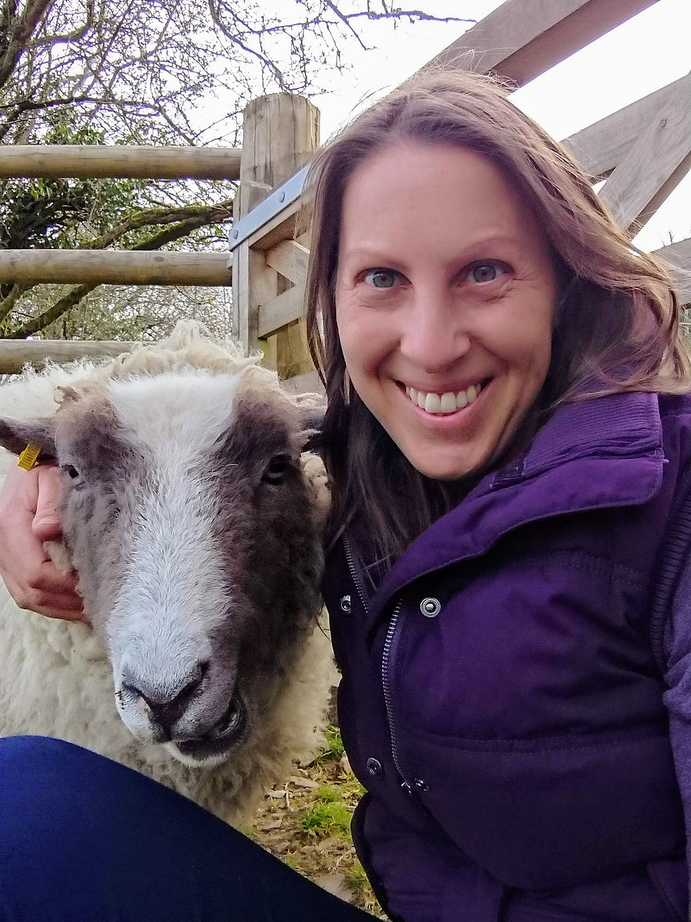 Antics with sheep Snowball