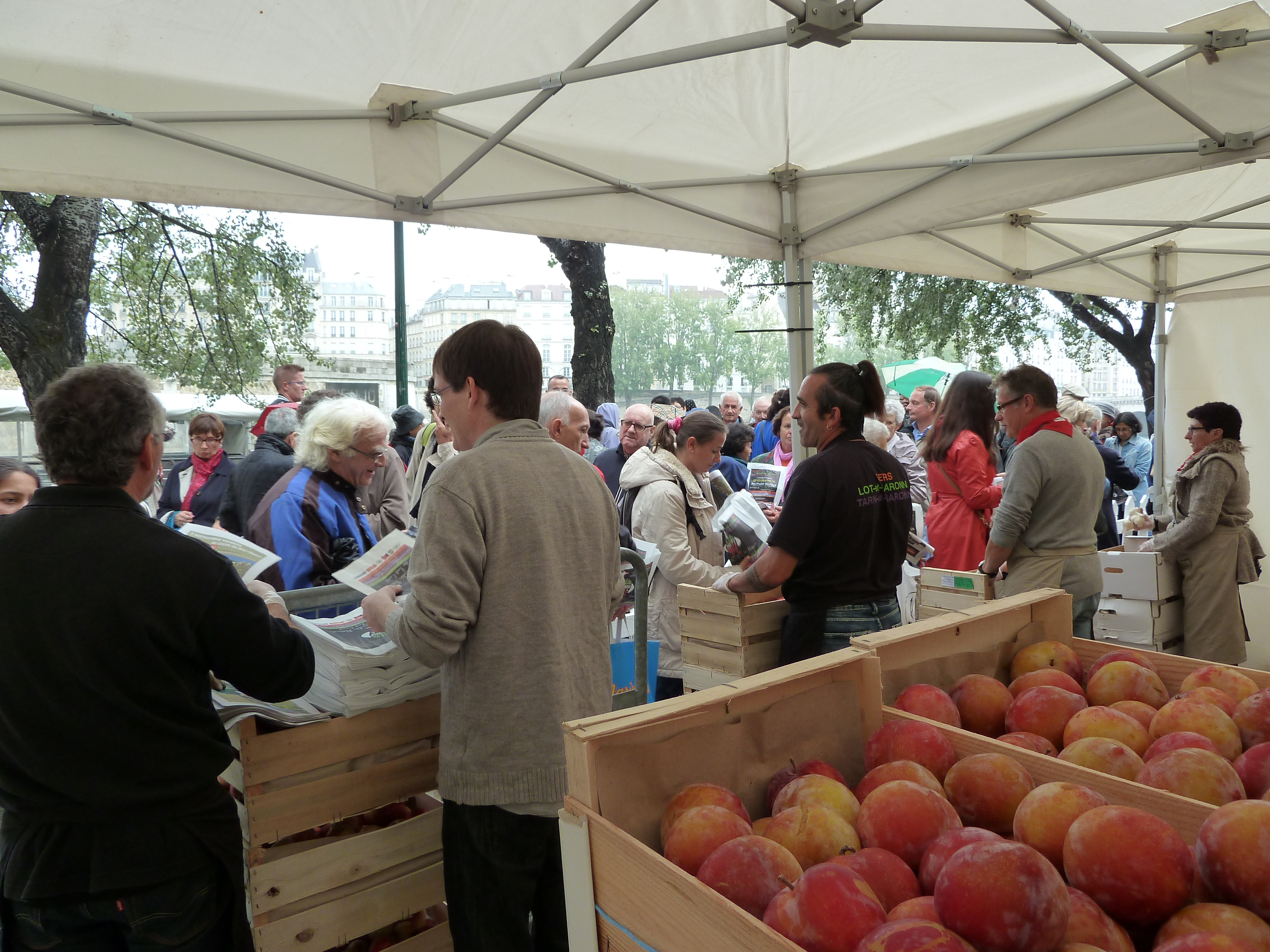 Distribution gratuite de fruits