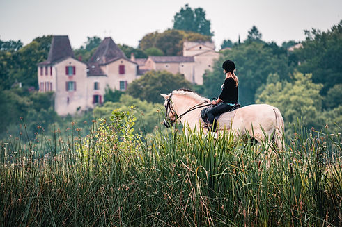 Balade_a_cheval_autour_de_Monflanquin-Teddy_Verneuil_Lezbroz-3988.JPG