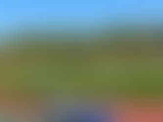 2020.11.14 服部緑地公園G