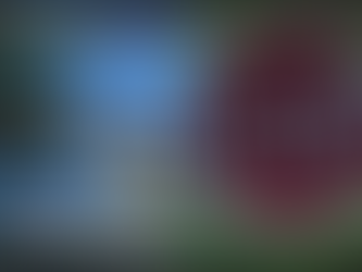 LNG Terminal auf der Insel Krk - ARTE