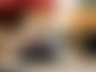 Das luxuriöseste Hunde-Hotel Kroatiens - ZDF