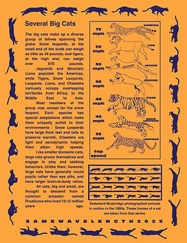 Wave 002 zine-02.jpg