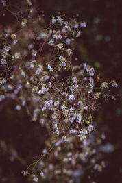 Julia Vogel Fotografie | Portraits | Bad Nauheim