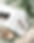 haute-stock-photography-subscription-earthy-green-collection-final-3_edited.jpg