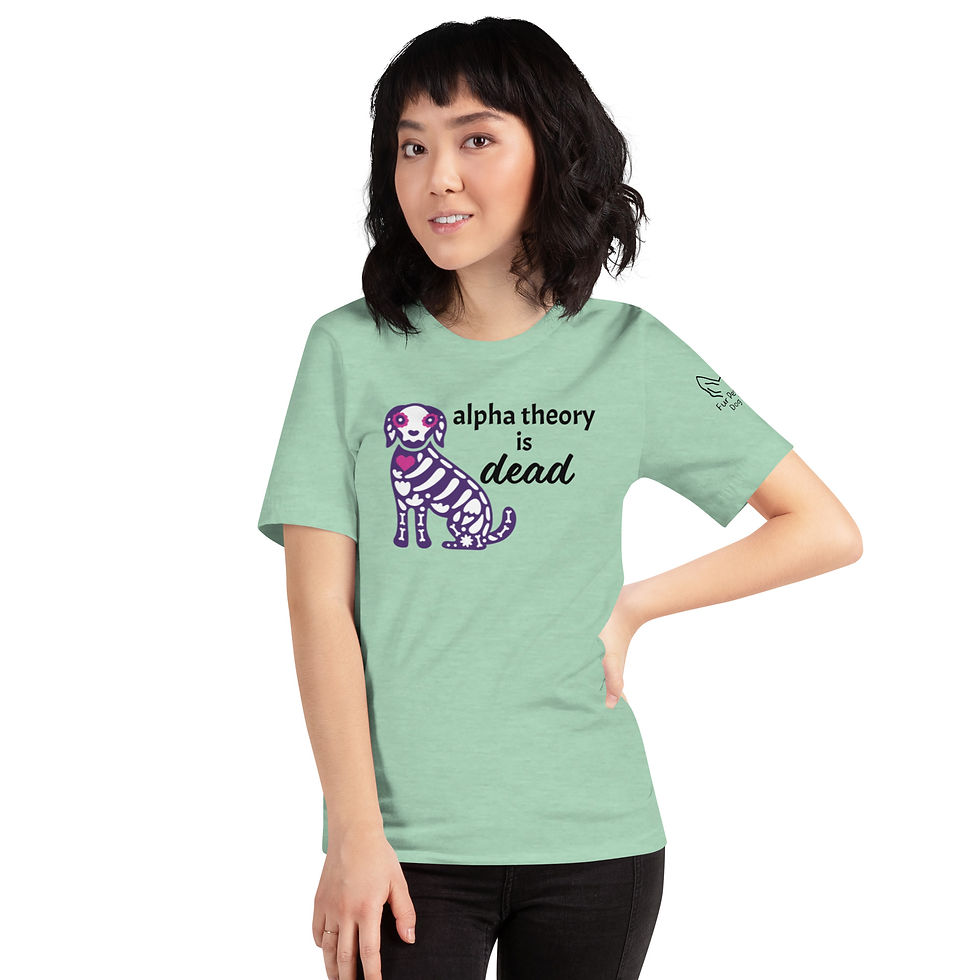Thumbnail: Alpha Theory Unisex T-shirt