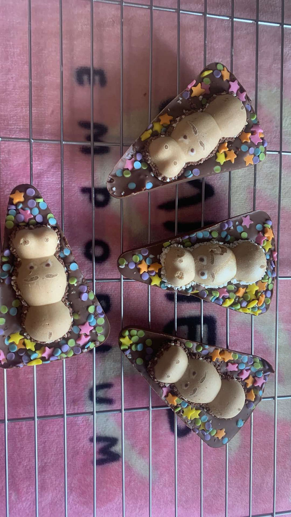Thumbnail: Hippo & milk chocolate pizza