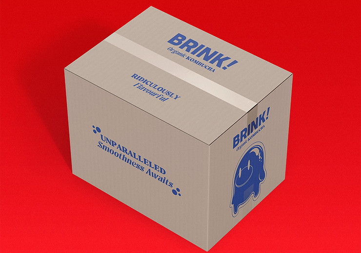 BRINK SHIPPING BOX MOCK UPwebimage.jpg