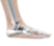 AdobeStock_135614426.jpeg