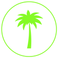 Palm Maintenance Icon