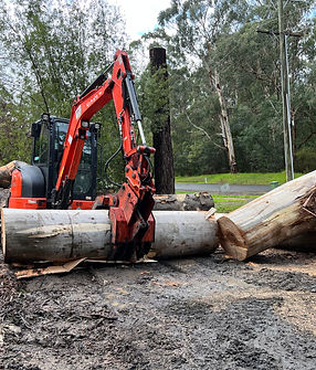 Excavator removing logs from near roadside