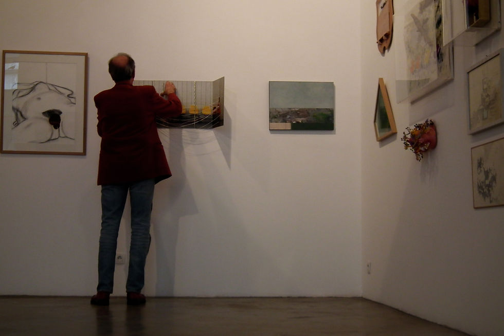 galerie Besson Lyon A vol d'oiseau du cercle Philippe Delaunay ARTCOLLECTIONPHD
