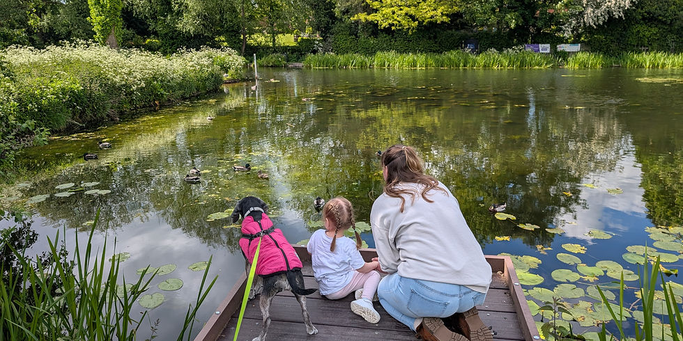 Family sitting by the pond at Victoria Park Newport, watching ducks and enjoying a calm outdoor moment.