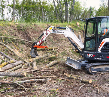 Travaux de défrichage, débroussaillage, élagage en Allier