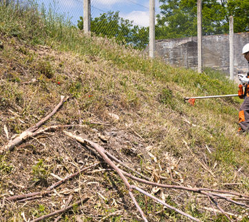 Travaux de défrichage, débroussaillage, élagage en Allier