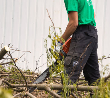 Travaux de défrichage, débroussaillage, élagage en Allier