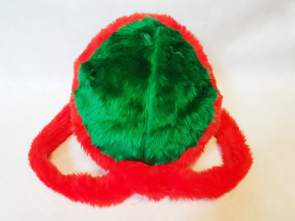 Miniaturbild: Turtle Rap