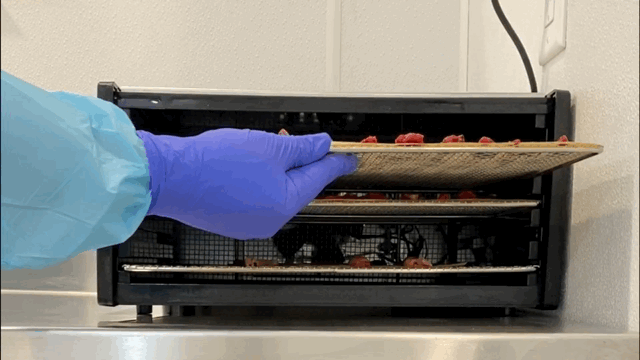 animated (2).GIF