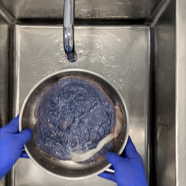 animated (1).GIF