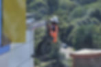 Abseil Rail - Royal Bournemouth