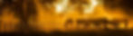 horse background.jpg