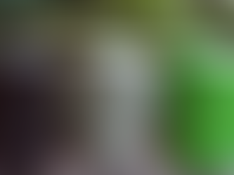 Week 12 - Promote & Test