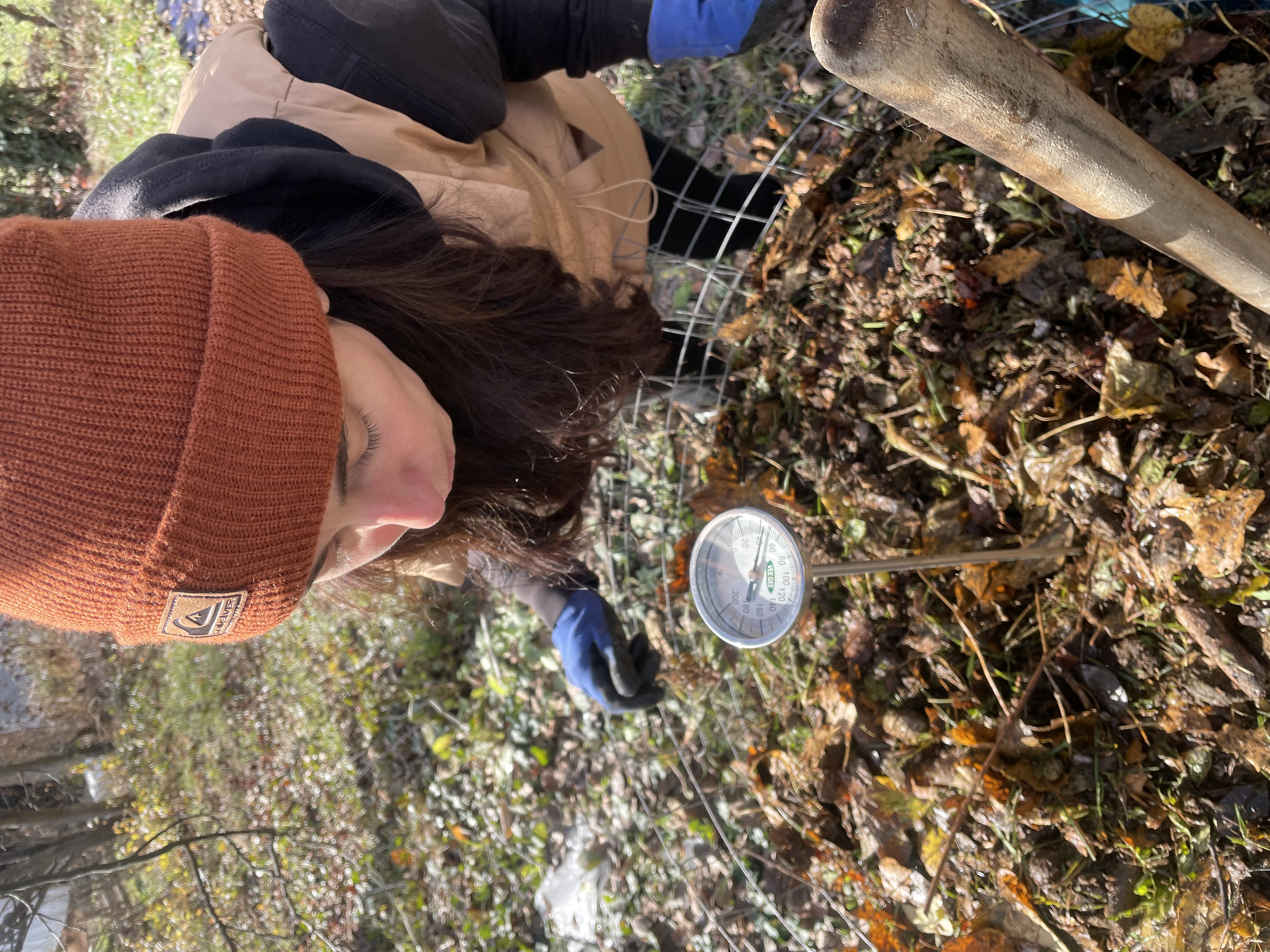 Снимка на автора: Underground Labs