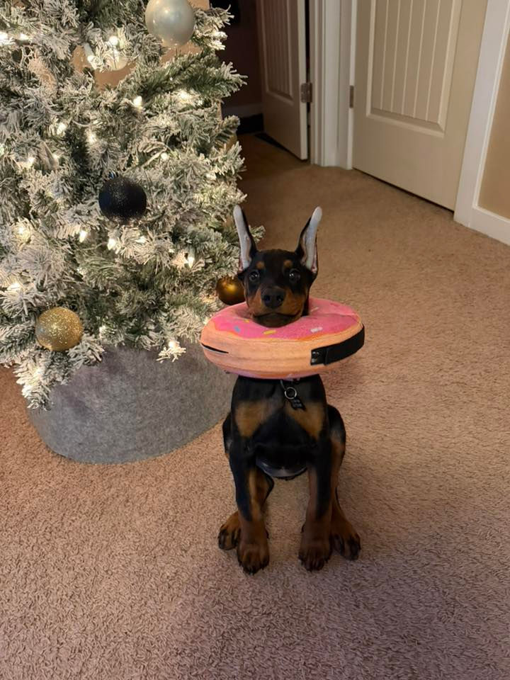 Chunker #2 crop 577058115_3162055977305496_4899102649801998720_n