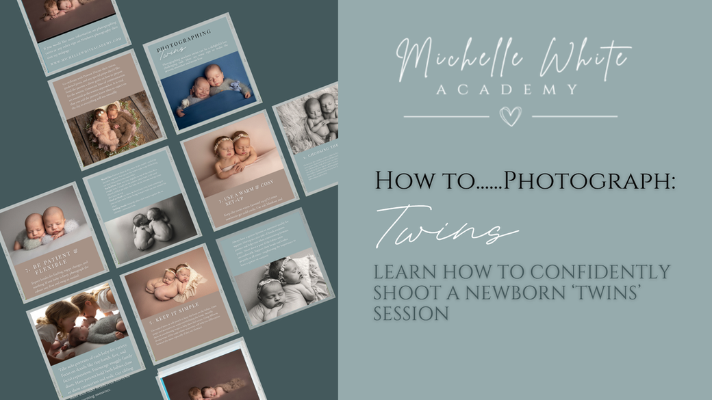 summary view of pages of how to photograph twins