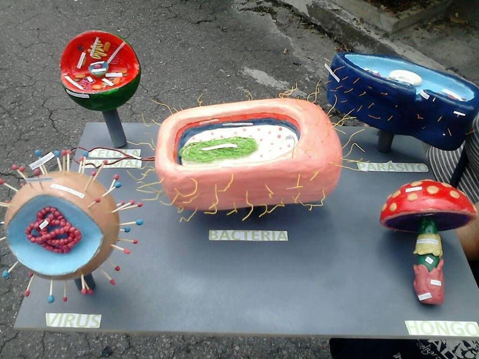 maquetas 3