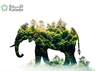 Celebrating Wildlife Conservation Day 14/10/2025