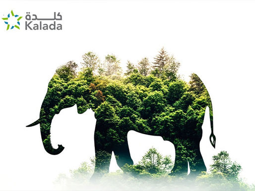 Celebrating Wildlife Conservation Day 14/10/2025