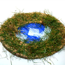 Woman at the well & The pool of Bethesda