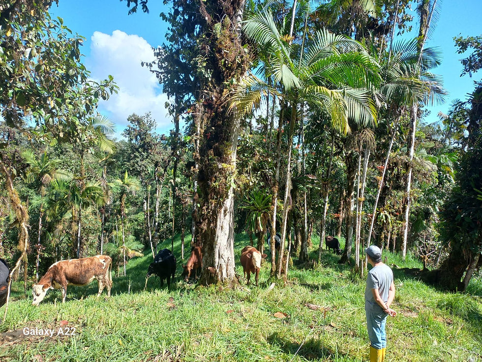 WhatsApp Image 2024-11-30 at 18.08.55 (1).jpeg