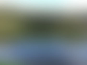 2026年9月17日池の様子