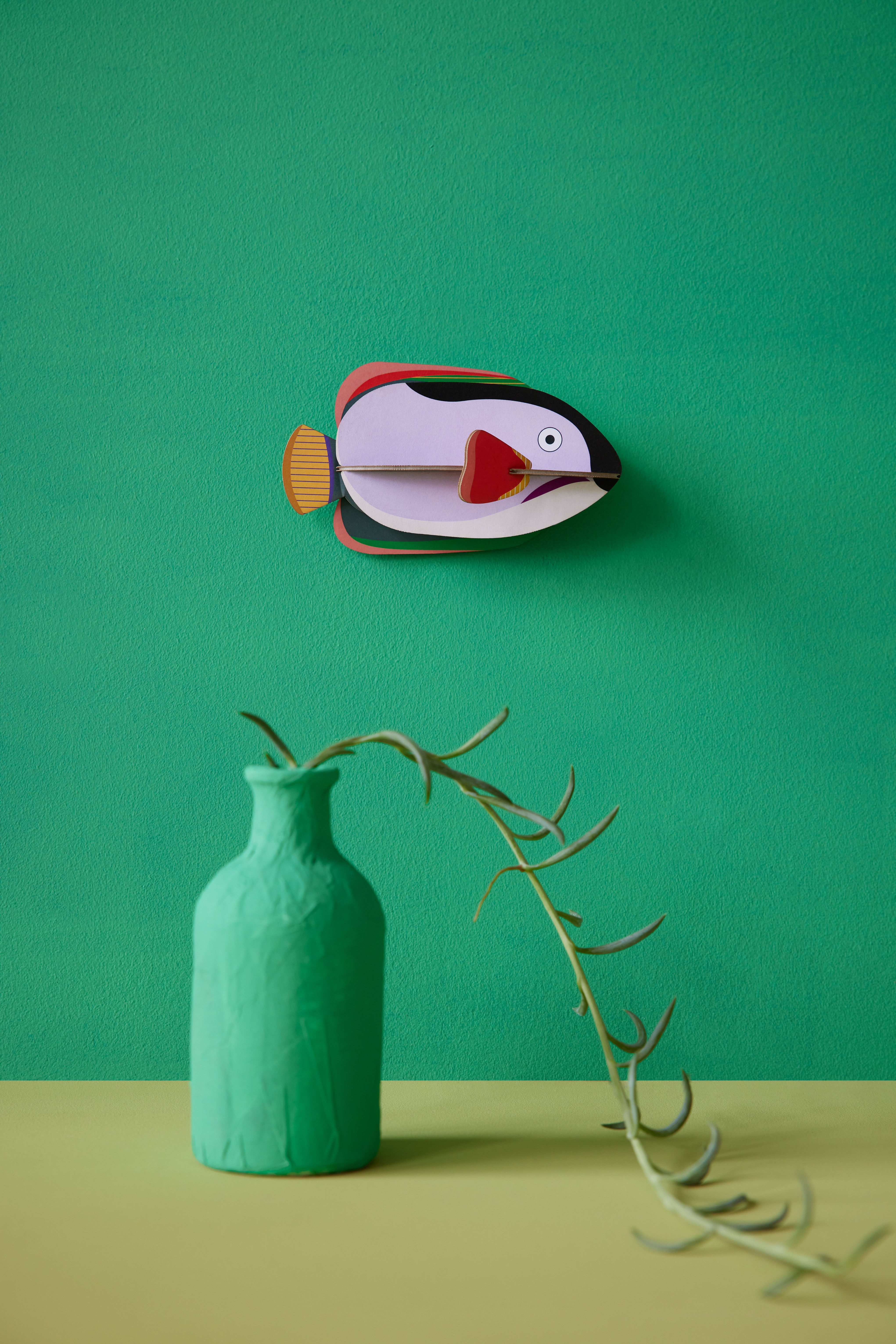 Produkt: Königs- Kaiserfisch