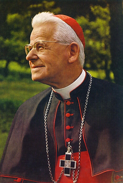 Screenshot 2025-06-30 alle 16.54.01.png