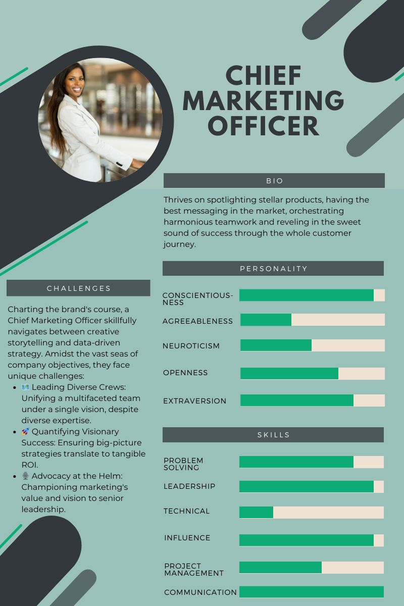 CMO persona sheet including bio, challenges, personality and skills