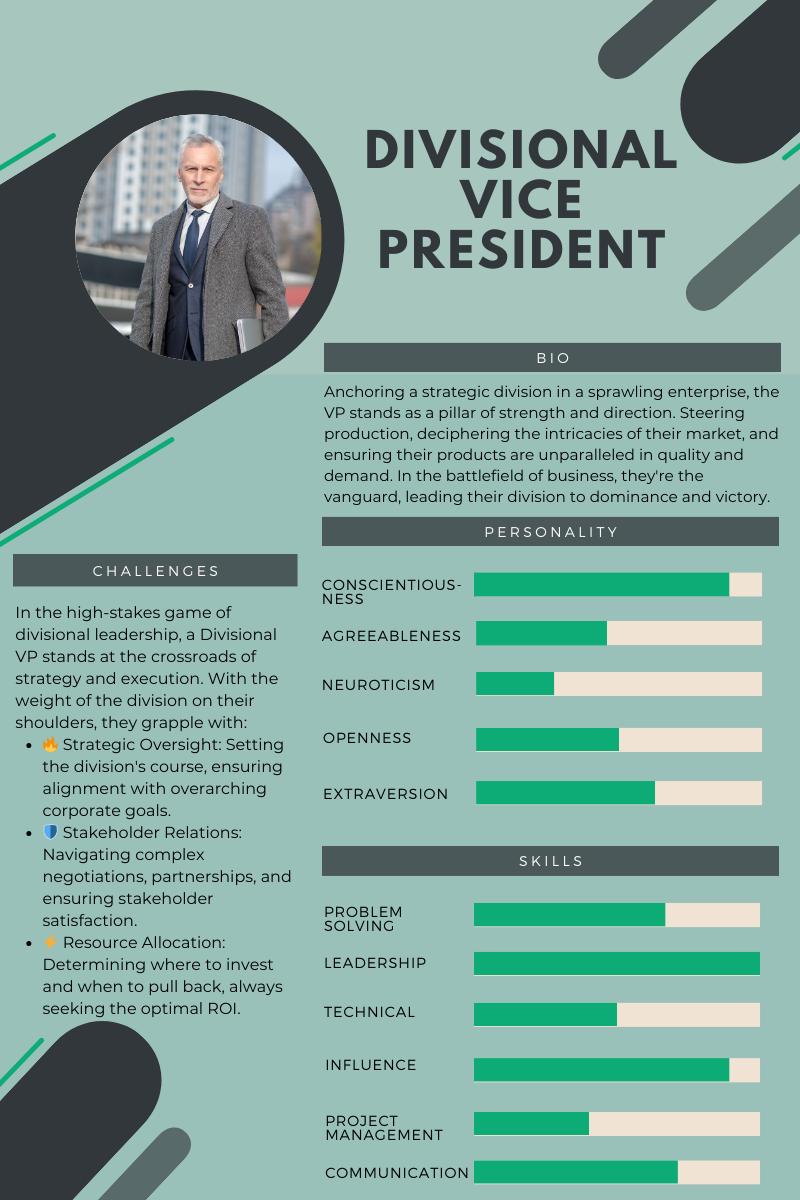 Divisional VP persona sheet including bio, challenges, personality and skills
